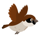 Flappy Sparrow ikon