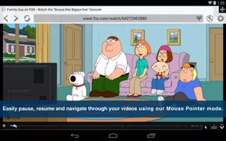 Photon Flash Player & Browser screenshot 3