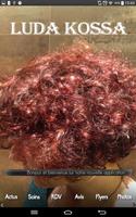 Coiffeur Luda Kossa الملصق