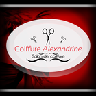 Alexandrine Coiffure icône