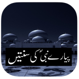 Pyare Nabi(PBUH) ki Sunnatain 图标