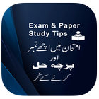 Exam & Paper Study Tips icône