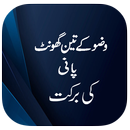 Wazu Ki Barkat APK