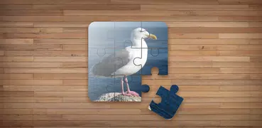 鳥ジグソーパズル — 鳥ゲーム