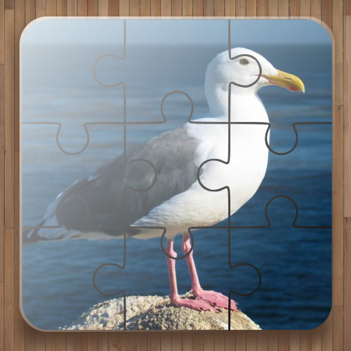 Vogel Puzzle Spiele