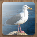 Jeux de Puzzle Oiseaux APK