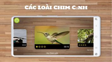 Ghép Hình — Trò Chơi Chim ảnh chụp màn hình 1