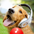Animal Sounds Ringtones Free