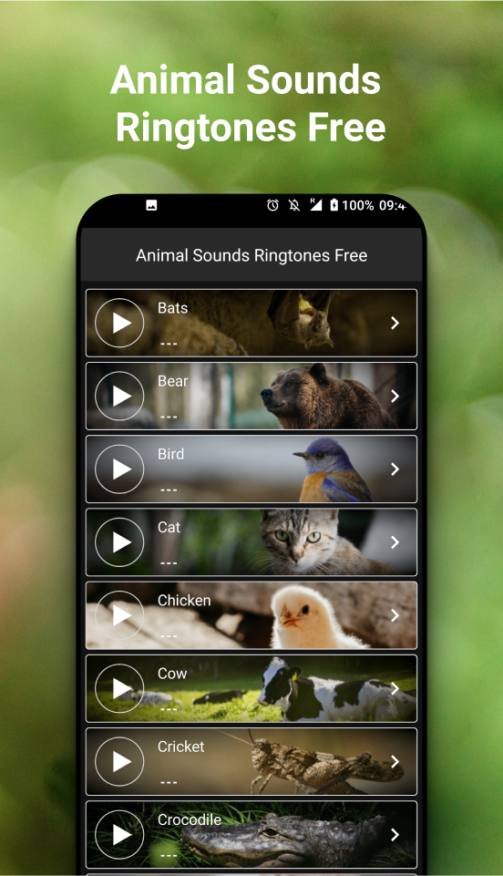 Animal Sounds Ringtones APK 4.32 for Android – Download Animal Sounds  Ringtones XAPK (APK Bundle) Latest Version from APKFab.com