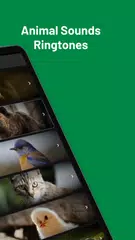 Animal Sounds Ringtones XAPK download