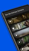 Son des Animaux Sonnerie Affiche