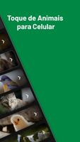 Toque de Animais para Celular imagem de tela 1