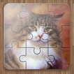 Jeux de Puzzle de Chat