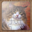 Jogos de Quebra Cabeça Gatos APK