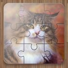 Cat Puzzle Game آئیکن