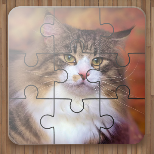 Katzen Puzzle Spiele