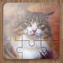 Gry Puzzle Koty aplikacja
