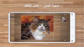 أحجية الصور — العاب القطط الملصق