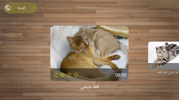 أحجية الصور — العاب القطط تصوير الشاشة 1