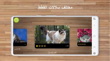 أحجية الصور — العاب القطط تصوير الشاشة 1