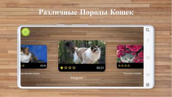 Игра Пазлы Кошки скриншот 1