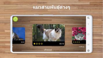 ตัวต่อจิ๊กซอว์ — เกมแมว ภาพหน้าจอ 1