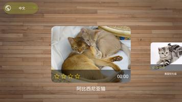 猫 拼图游戏 截图 1