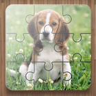 犬ジグソーパズル — 犬のゲーム アイコン