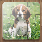 Honden Puzzel Spelletjes-icoon