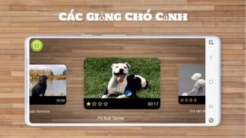 Trò Chơi Ghép Hình Con Chó ảnh chụp màn hình 1