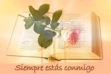 download 200 Oraciones Católicas APK