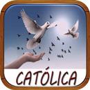 Musica Catolica Excelente APK