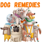 Home Remedies For Dogs icône