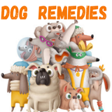 Home Remedies For Dogs icône