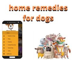 Home Remedies For Dogs โปสเตอร์