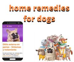 Home Remedies For Dogs ảnh chụp màn hình 1