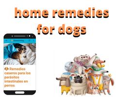 Home Remedies For Dogs 截圖 3