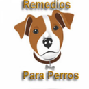 🐶 Remedios Caseros Para Perro APK