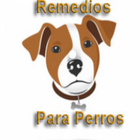 🐶 Remedios Caseros Para Perro biểu tượng