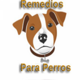 🐶 Remedios Caseros Para Perro icône