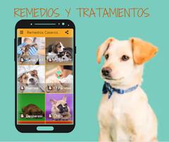 پوستر 🐶 Remedios Caseros Para Perro