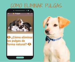 برنامه‌نما 🐶 Remedios Caseros Para Perro عکس از صفحه