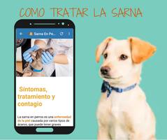 🐶 Remedios Caseros Para Perro capture d'écran 3