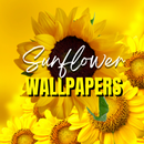 Sunflower Wallpapers HD APK