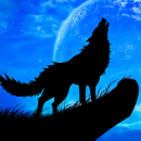 Wolf Sounds-videos-wallpaper-APK