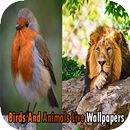 APK Birds And Animals Live Wallpapers