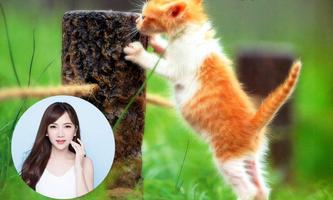Cat Photo Frames poster