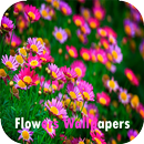Flowers Wallpapers APK