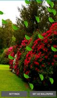 Garden Live Wallpapers screenshot 3