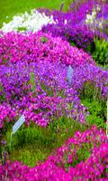 Garden Wallpapers poster